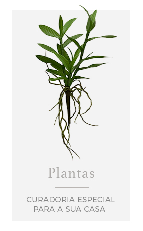 Plantas