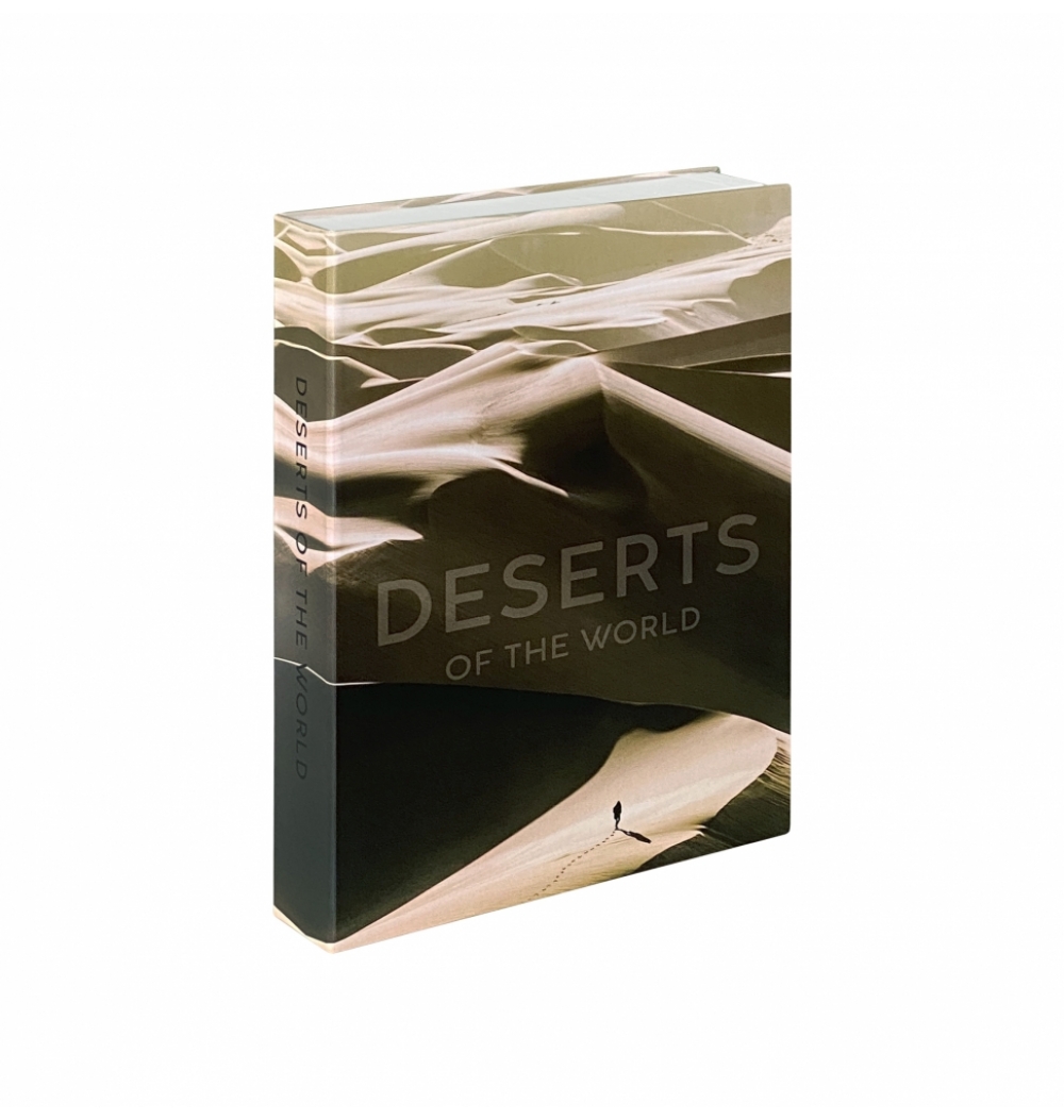 Livro caixa deserts M 