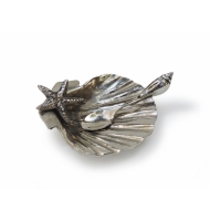 Concha com colher Concha com colher