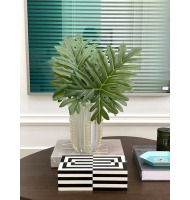 Folhagem verde philo 