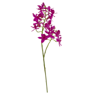 Haste mini orquídea pink  Haste mini orquídea pink