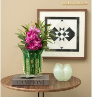 Livro caixa Dolce & Gabbana Campioni P