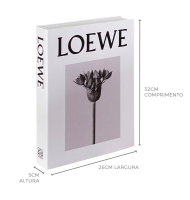 Livro caixa loewe M