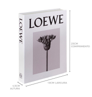 Livro caixa loewe P
