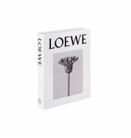 Livro caixa loewe P
