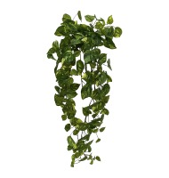 Pendente jiboia verde 