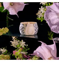 Vela Voluspa lata 25H Jasmine Midnight Blooms