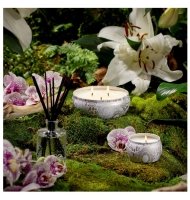 Vela Voluspa lata 3 pavios 60H santal vanille