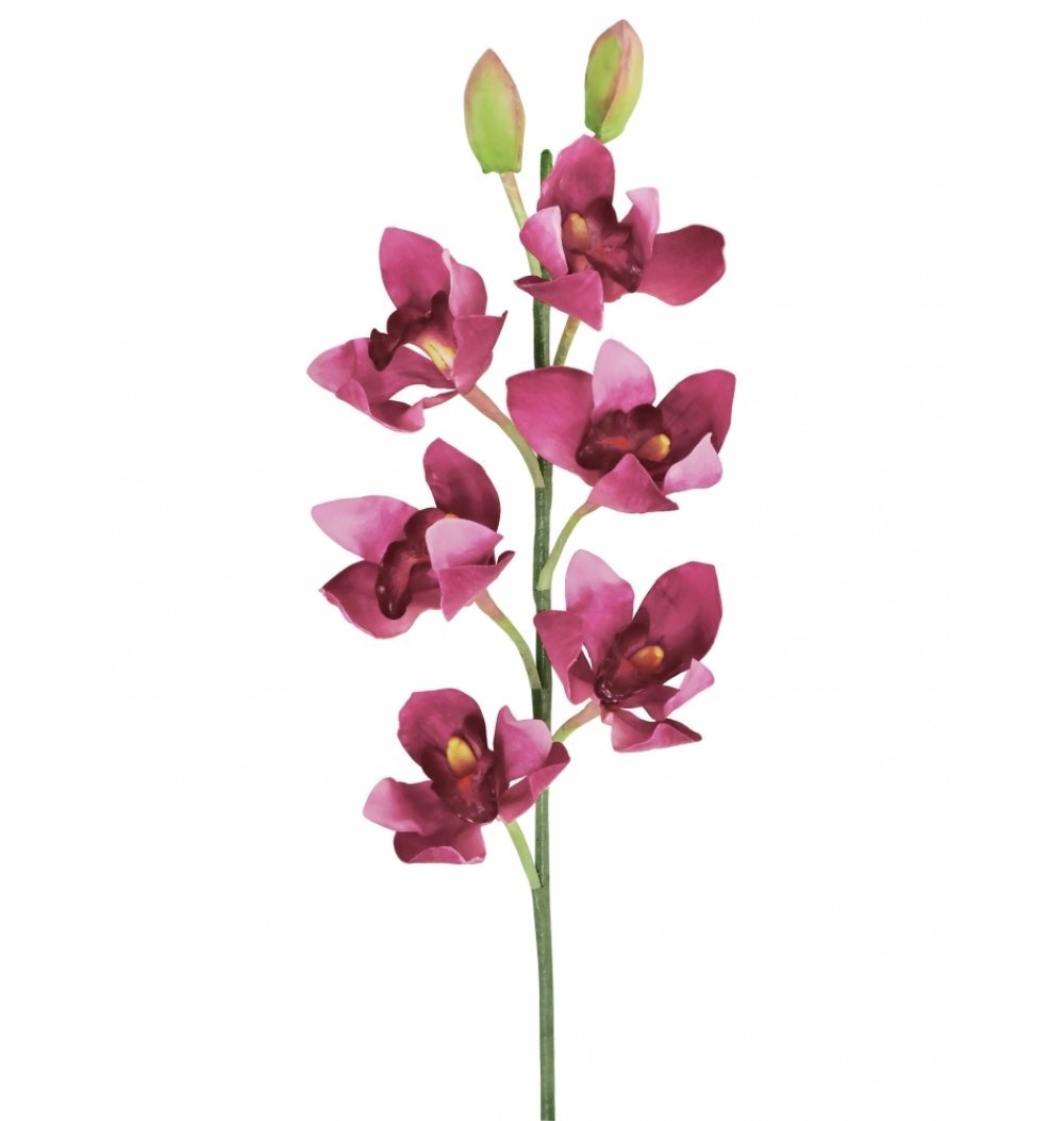 Orquídea cymbidium rosa | Camélia