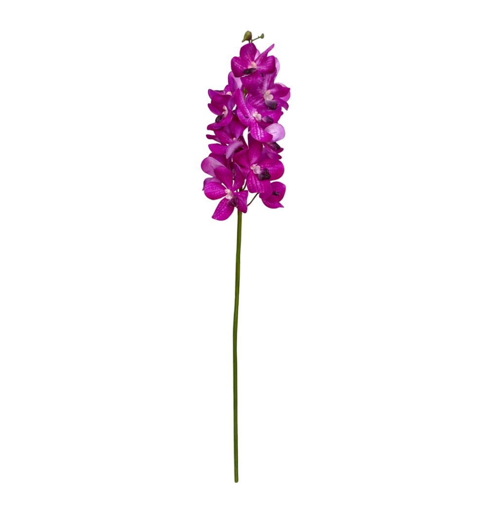Orquídea Pink vanda  