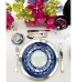 Aparelho jantar azul floral 14 peças DEFEITO