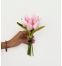 Buquê de tulipa rosa clara 