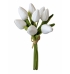 Buquê tulipa branca