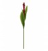 Flor de gengibre vermelha