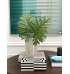 Folhagem verde philo 
