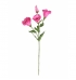 Galho lisianthus rosa pink