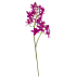 Haste mini orquídea pink 
