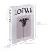 Livro caixa loewe M Livro caixa loewe M