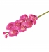 Orquídea cimbidium pink