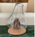 Vaso cristal orgânico base madeira 