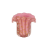 Vaso murano leque P rosa escuro com ouro