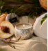 Vela Voluspa lata 25H Tahitian Coconut Vanilla