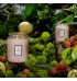 Vela Voluspa pote vidro G 100H relevo panjore lychee