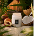 Vela Voluspa pote vidro G 100H relevo Tahitian Coconut Vanilla