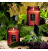 Vela Voluspa pote vidro P 50H relevo forbiddden fig