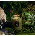 Vela Voluspa pote vidro P 50H Temple Moss